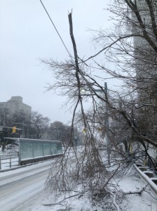 December 2013 - Ice Storm